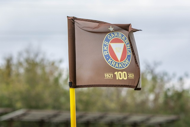 用他们外援 用他们外援