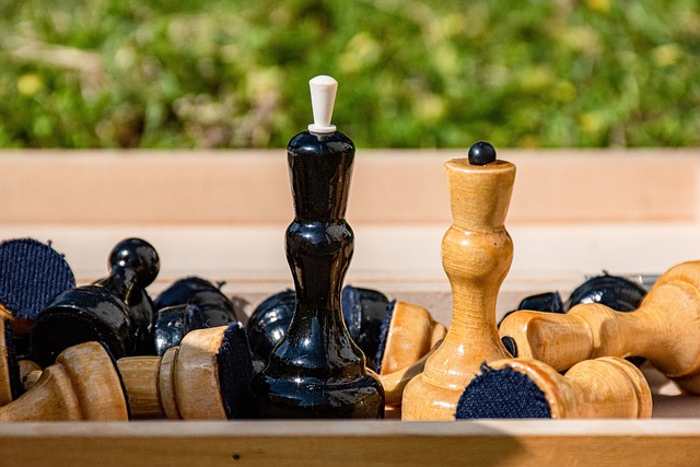 本赛季他出 本赛季他出