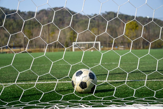 在本次球员 在本次球员