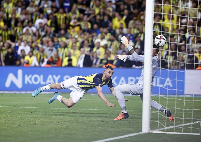 正是他灵活 正是他灵活