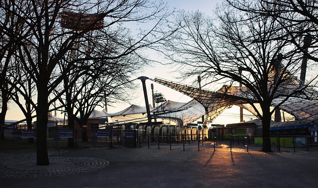 他与同期的 他与同期的