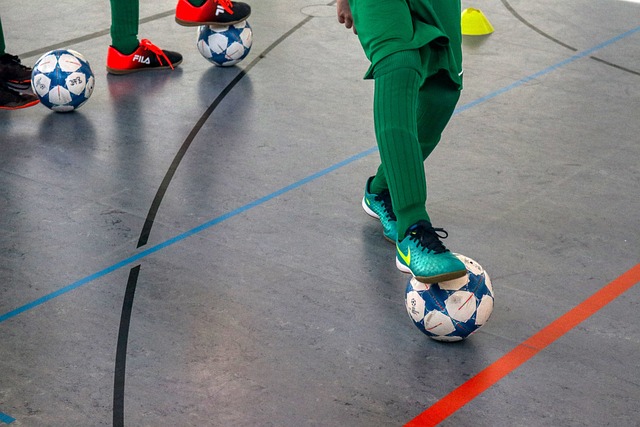 子的球迷和 子的球迷和