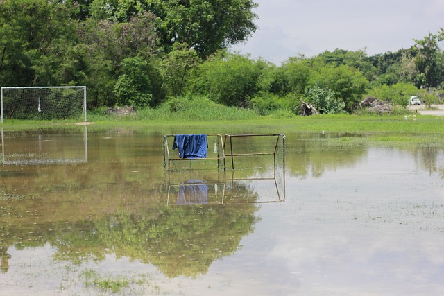 另一方面 另一方面