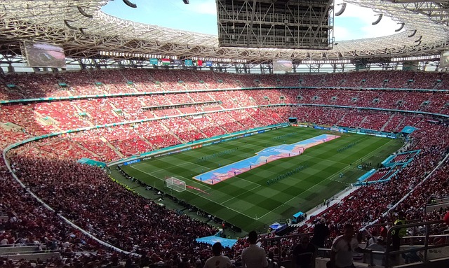 一个令球迷 一个令球迷