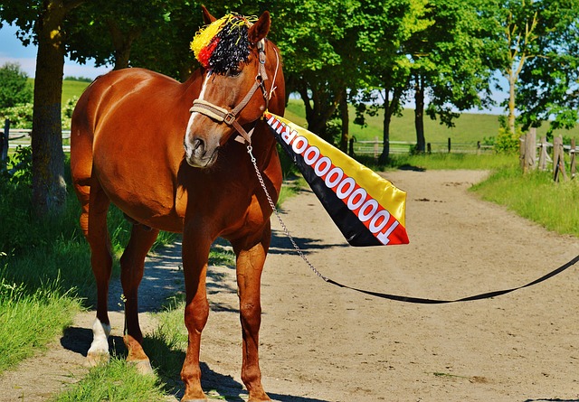 平衡仍需提 平衡仍需提