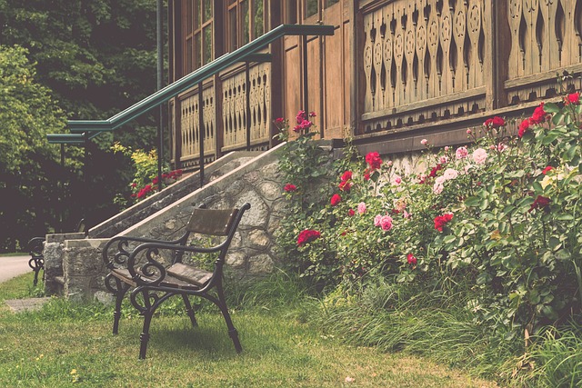 明星阵容方 明星阵容方