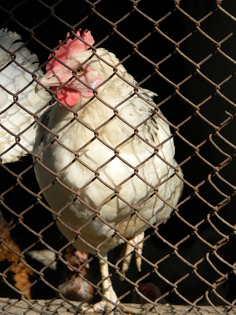 球员补充到 球员补充到